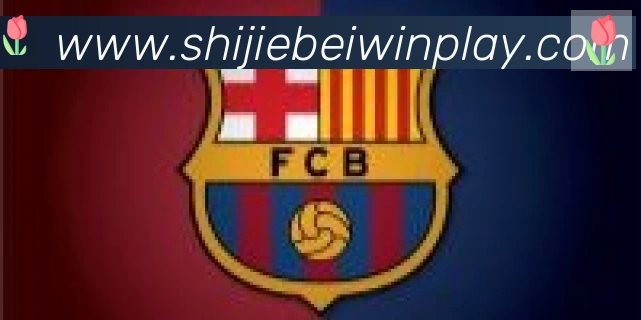 2026世界杯买球入口合作伙伴